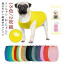 春 犬用 全18色 服 犬服 犬服 無地 いぬ Tシャツ 2枚組 半袖Tシャツ 犬用服 ドッグウェア ペットウェア ペット服 犬の服 小型犬 ウェア 中型犬 大型犬 夏服 犬用Tシャツ ペットグッズ 洋服 春物 夏物 カジュアル おしゃれ かわいい シンプル