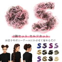 子ども エクステ ダンス エクステ ヘア キッズ グッズ 子供 ポニーテール カラー 2個 アレンジ セットカット スタイル ヘアゴム ウィッグ エクステ ダンス衣装 お団子 ダンスグッズ ヒップホップ つけ毛 シュシュ