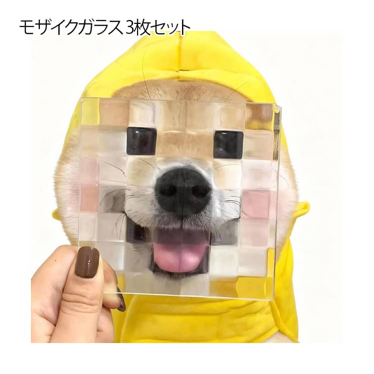 �⥶�������饹 3�祻�å� ���饹�ץ졼�� ���ƾ�ʪ �������� ���������꡼���� ��ʪ���ƥ��å� ����ƥꥢ���� ���� ���󥹥��Ǥ� ����̵�� �ץ졼�� ������...