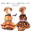 犬 コスチューム 犬コスプレ ハロウィン ワンピース ドッグウェア 犬服 ペット服 カボチャ レース フリル なりきり コスプレ衣装 仮装 小型犬 中型犬 猫 ペットウェア 女の子 パンプキン お化け パーティー イベント halloween 送料無料