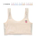 ジュニアブラジャー キッズ 女の子 二点セット インナーブラジャー かわいい 二点セット ブラジャー インナーウエア タンクウエア 子供服 シンプル カジュアル ジュニア 送料無料 スポーツブラ ジュニアスポブラ ナイトブラ 下着 女子 ノンワイヤー 肌着 インナー