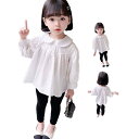 シャツブラウス キッズ 春秋 長袖 プリーツブラウス 折襟 子供ブラウス おしゃれブラウス インナーブラウス シンプル 折襟ブラウス インナーウエア フォーマルブラウス 無地 フォーマル カジュアル おしゃれ 送料無料 おでかけ ブラウス トップス おしゃれブラウス