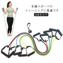 2点セット エクササイズバンド エクササイズ 体幹トレーニング ゴムバンド トレーニング 筋トレ コアトレーニング チューブ ダイエット ゴムチューブ レジスタ...