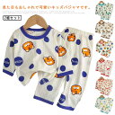 パジャマ キッズ 女の子 男の子 長袖 2組セット 春 春夏 秋 冬 薄手 スウエット 上下セット セットアップ 男女兼用 子供 こども 子供服 女児 男児 ス...