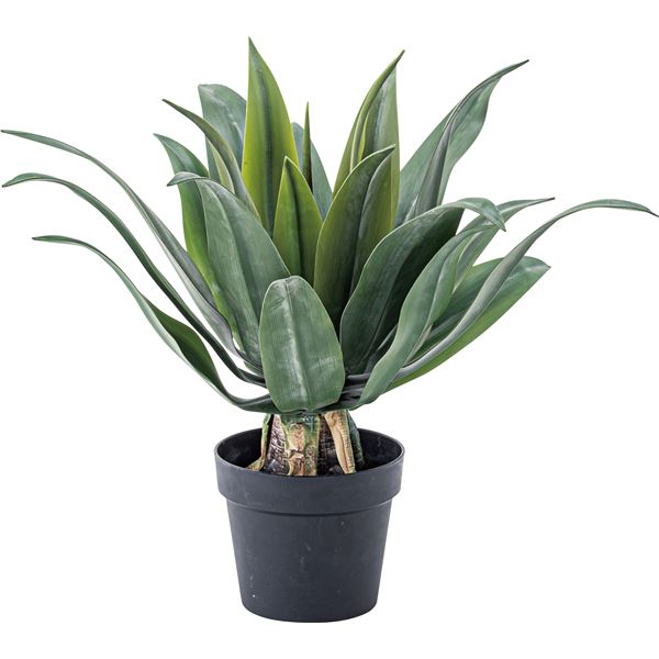 フェイクグリーン 観葉植物 アガベ 約幅53×奥行53×高さ53cm リビング 店舗 ショップ インテリア雑貨(TOP)
