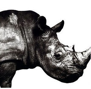 Rakuten - MR.CHILDREN(ミスターチルドレン)/MR.CHILDREN 1992-1995[CD] TFCC-88180