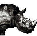 MR.CHILDREN(ミスターチルドレン)/MR.CHILDREN 1992-1995[CD] TFCC-88180