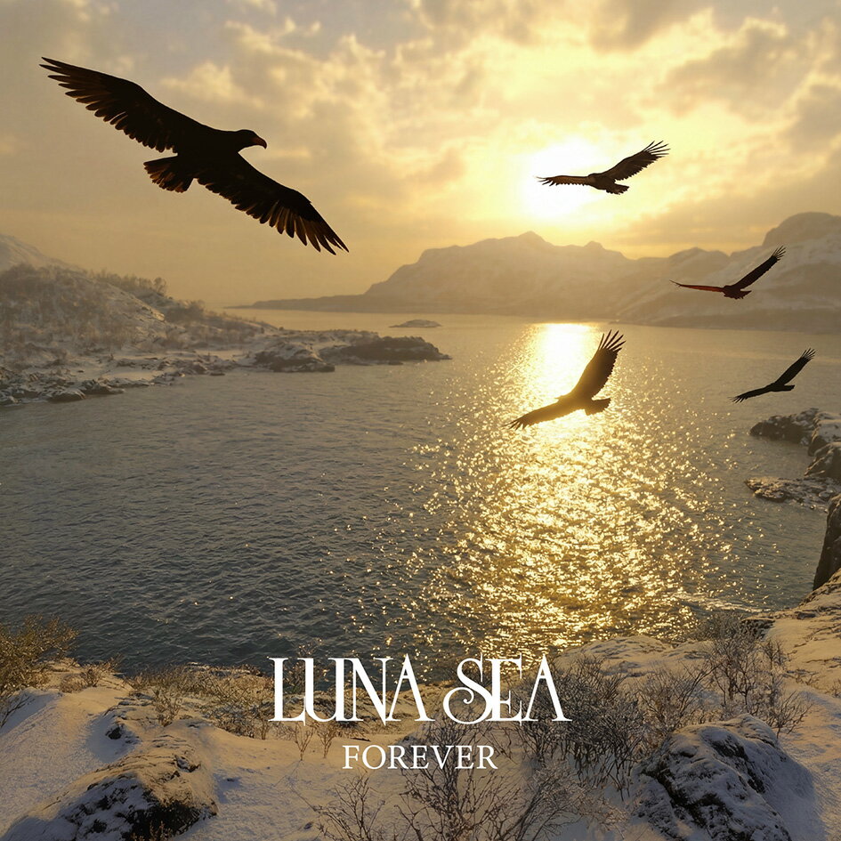 乐天商城 - LUNA SEA／FOREVER (CD) AVCD-61715 2026/5/29発売 ルナシー (特典なし)