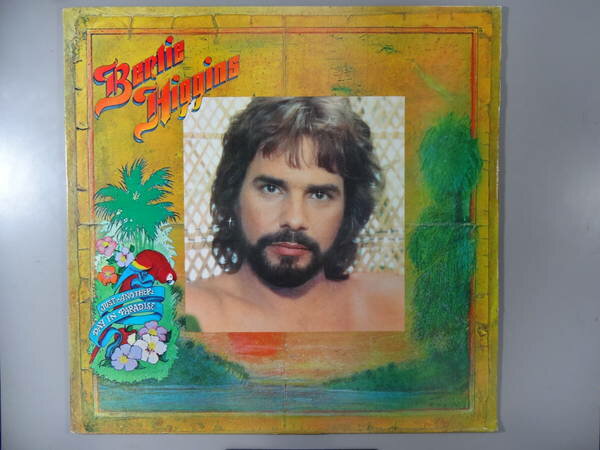 【中古レコード】バーティ・ヒギンス/Just Another Day In Paradise (輸入盤)[LPレコード 12inch]