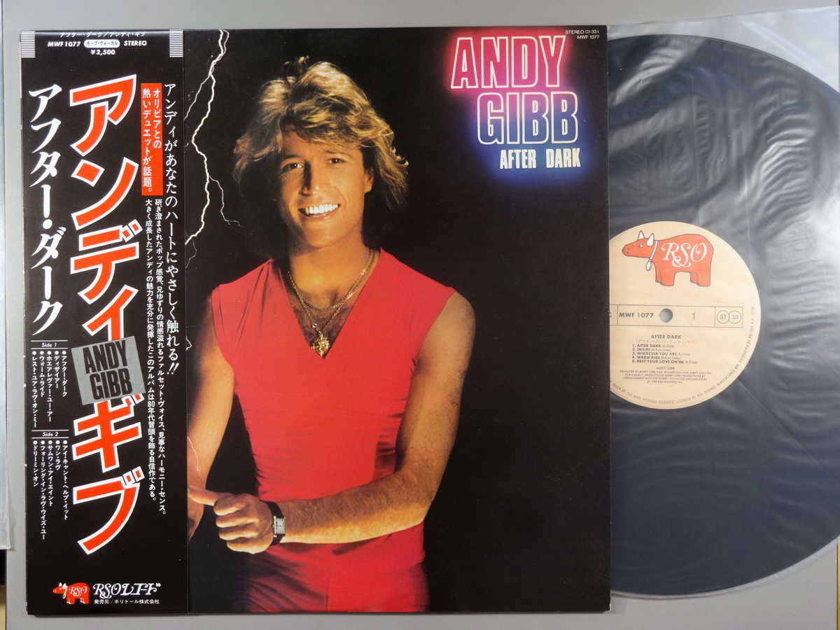 【中古LPレコード 12inch】【ア】アンディ・ギブ(Jeff Beck)/アフター・ダーク