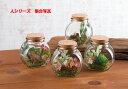 ★母の日 遅れてごめんね★母の日 プレゼント【ヒーリングテラリウム人シリーズ】 プレゼント ギフト メッセージカード ラッピング フラワーアレンジメント 送料無...