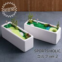 ★【SPORTSHOLIC ゴルフ ver.2】 プレゼント ギフト メッセージカード ラッピング 孫 ゴルフ スポーツ 送料無料 カラーサンド 花 贈答品 景品 造花 多肉 ジオラマ 誕生日 趣味 アレンジ 就職祝い
