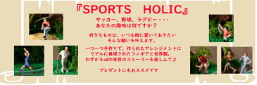 ★楽天スーパーSALE限定　12%OFF 期間限定★【SPORTSHOLIC 野球】 プレゼント ギフト メッセージカード ラッピング 孫 送料無料 カラーサンド 花 贈答品 景品 造花 多肉 ジオラマ 趣味 野球 スポーツ フィギュア フェイクグリーン