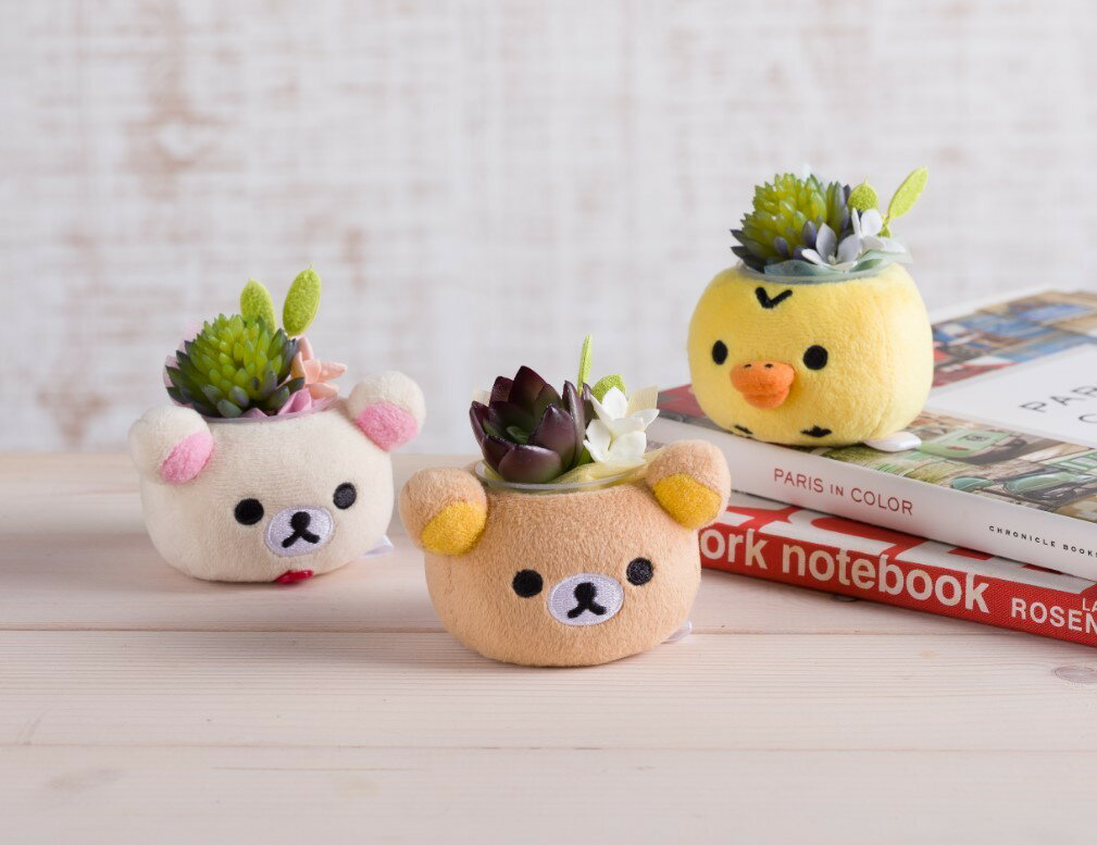【リラックマぬいぐるみPOT6種】バレンタインプレゼント ホワイトデーお返し プチギフト 送料無料 プレゼントリラックマ コリラックマ キイロイトリ 誕生日 花 ギフト 記念品 贈答品 フラワー プリザーブドフラワー フェイクグリーン 造花 多肉 ぬいぐるみ 小物入れ格安通販　バレンタイン　人気　ランキング