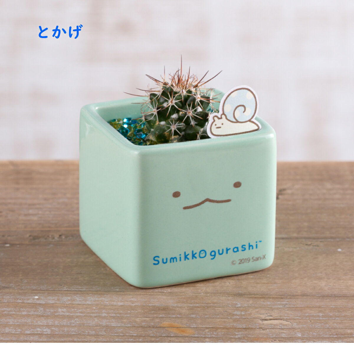 【すみっコぐらしサボテンバレンタインプレゼント ホワイトデーお返し プチギフト 送料無料 プレゼント】すみっコぐらし すみっこ すみっコ 誕生日 花 観葉植物 ギフト 記念品 贈答品 サボテン とかげ ねこ ぺんぎん？しろくま たぴおか とんかつ おしゃれ かわいい格安通販　バレンタイン　人気　ランキング