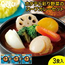 ホタテと彩り野菜のスープカレーセット ガラク 札幌 北海道 スープカレー チキンレッグ レトルト 具材 素 グルメ セット お取り寄せ お土産 人気店(4)