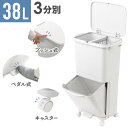ゴミ箱 ごみ箱 38L 分別 2段 大容量 スリム 足踏み べダル式 プッシュ式 ダストボックス キャスター付き キャスター キッチン分別 キッチン 中身 見え...