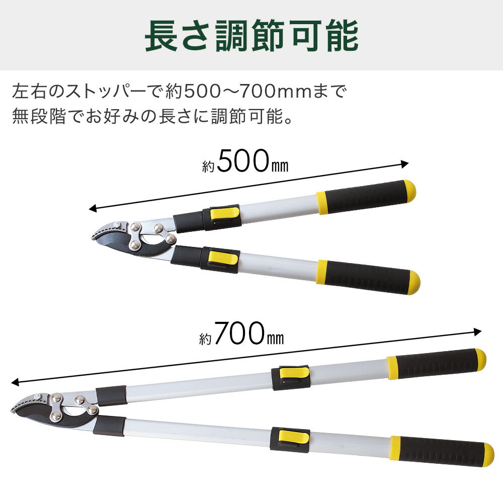 【 伸縮式 】 枝切りはさみ 鋏 高枝切り 太枝 太枝切り鋏 剪定ばさみ 軽量 枝切り 枝きり 太枝 バサミ ラチェット式 剪定鋏 園芸用品 花鋏 枝切りハサミ 枝切りバサミ 園芸ハサミ はさみ 枝切り鋏 剪定ハサミ 園芸はさみ 枝 切り はさみ 剪定 ハサミ 送料無料 3