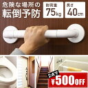 【 楽天1位 】 手すり 介護 てすり 転倒防止 手摺 トイレ用手すり トイレ用 階段 玄関 エントランス 入浴 排泄 補助手すり 屋内 室内 お風呂用手すり 風呂場手すり 浴室 浴槽 トイレ 補助 椅子 立ち上がり サポート トイレサポート 介護用品 簡単設置 補助手すり