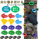 【木に取り付ける】クライミングホールド ボルダリング 子供 ツリークライミング クライミング 木登り パーツ カラフル ベルト 庭 木 アスレチック 登山 子供...