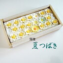 干菓子落雁 夏つばき 桐の化粧箱入り