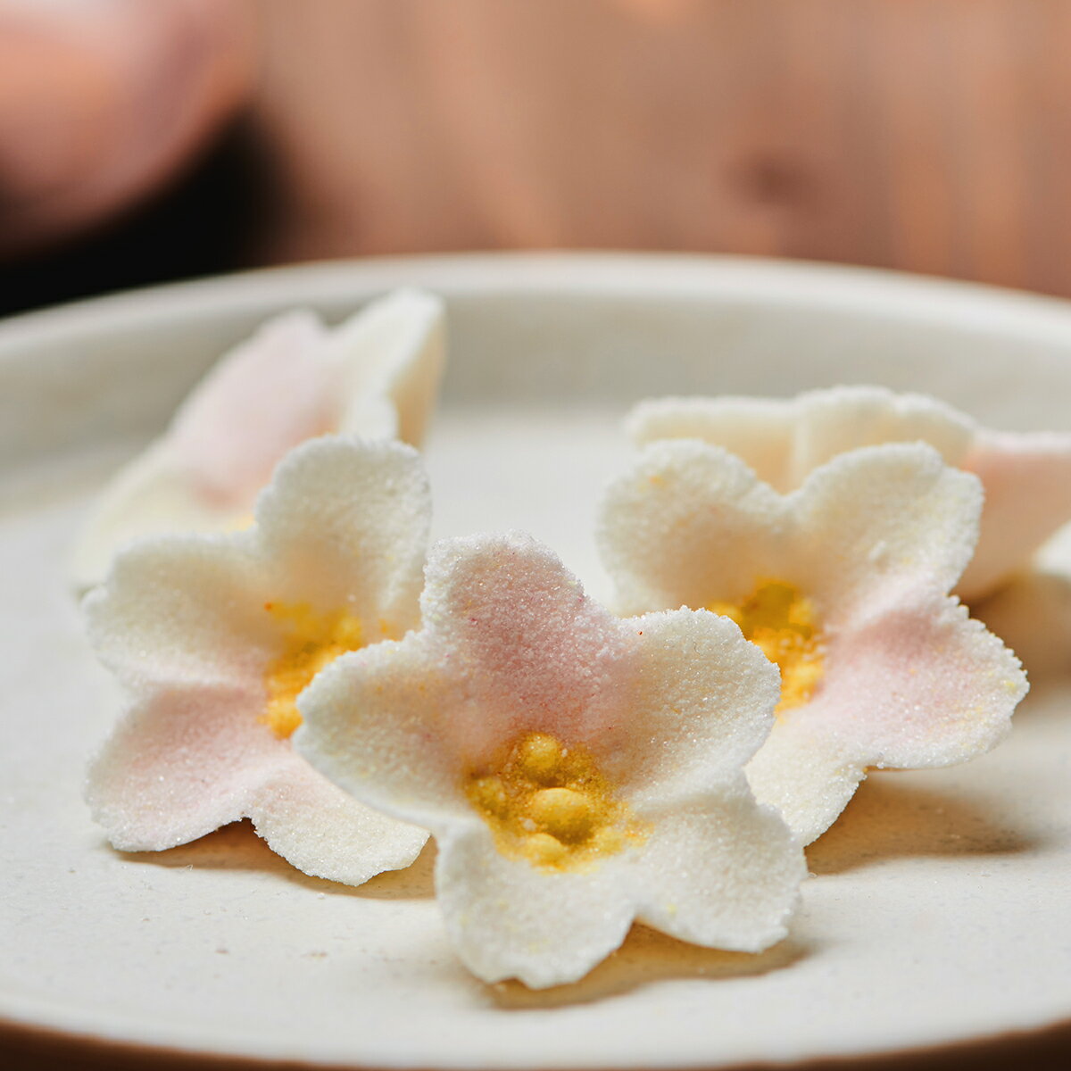 干菓子 落雁「桜 20個セット」 桐の化粧箱入り