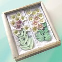 落雁 菊、桔梗【和菓子】【干菓子】【和三盆】【贈り物】【引き出物】【楽ギフ】【のし宛書】