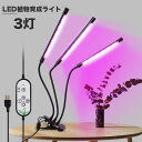 3 A琬Cg LED A琬 ϗtA A琬 琬Cg A Cg ͔| k͔| ؍H ledCg 3[hF 5iK 360x ^C}[@\ ~J ~ ƕs ȃGl USBd Nbv NX}X 3