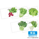 【単品・指定不可】 野菜の種子（横型）