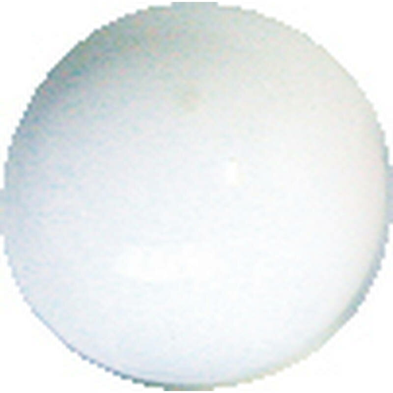 抽選球カラー10球 白