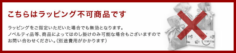 ★オサメット防災リュック BFA9 白/白