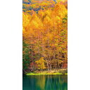 【秋】タペストリー防炎〈黄葉風景〉H180×W90cm / 秋 紅葉 壁掛け 装飾 イベント インテリア 店内装飾 販促