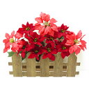 【クリスマス】ポインセチア垣根アレンジ レッド H36×W46cm / クリスマス ポインセチア 店舗装飾 販促 POP インテリア デコレーション 飾り付け ディスプレイ イベント