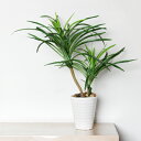 【人工観葉植物】ユッカポット 高さ43cm / フェイクグリーン 人工観葉植物 インテリア お手入れ簡単 水やり不要 シンプル おしゃれ オフィスインテリア 店舗装飾