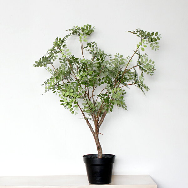 【人工観葉植物】トネリコポット　高さ80cm　/　フェイクグリーン　人工観葉植物　インテリア　お手入れ簡単　水やり不要　シンプル　おしゃれ　オフィスインテリア　店舗装飾