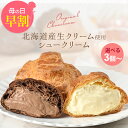 \母の日 早割 10%OFF / シュークリーム 3個入り プレゼント スイーツ 2025 送料無