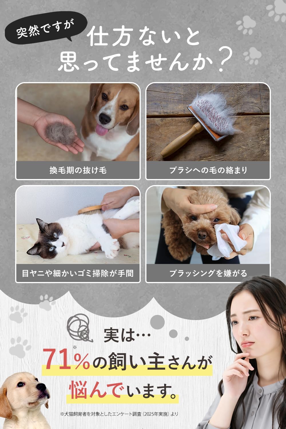 JPPMA認定品×トリマー専門学校講師監修『毛並み美人』犬猫用スリッカーブラシ2種コ...
