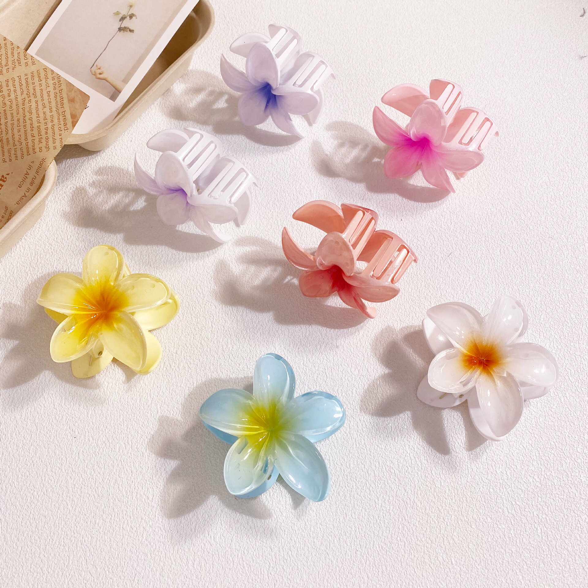 ��ʣ���������ꡦ������濫��� ���ɤ�8�Ĥ��餴��ʸ���� �ۥإ�����å� / �Х󥹥���å� - �ץ��ꥢ -