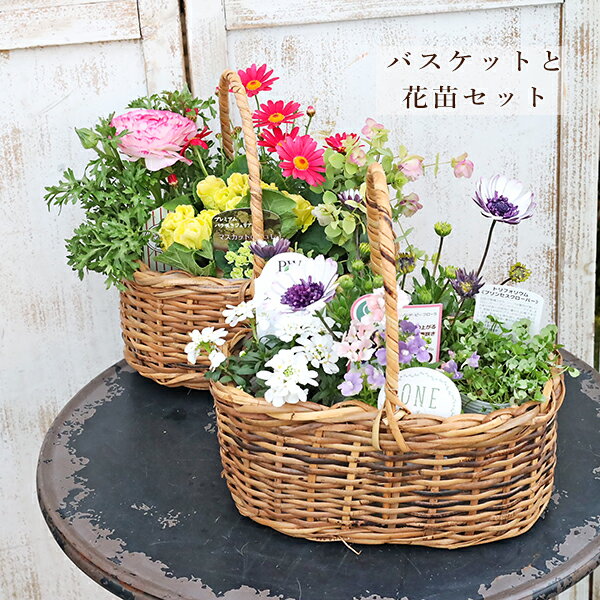 楽天市場】自転車 カゴ（花・観葉植物｜花・ガーデン・DIY）の通販