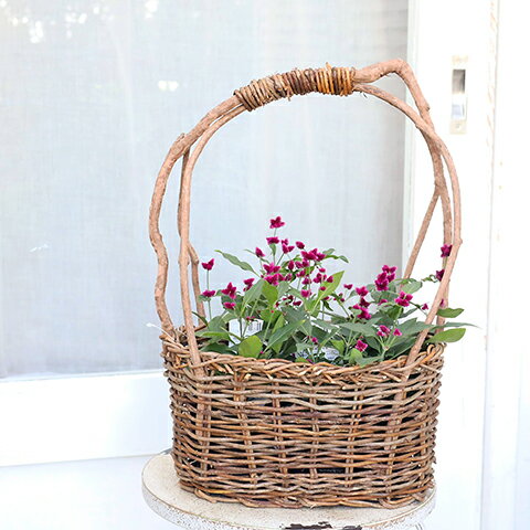 【閉店セール／返品不可／在庫限り】ガーデニング雑貨 木製バスケット ワイルドナチュラル Lサイズ