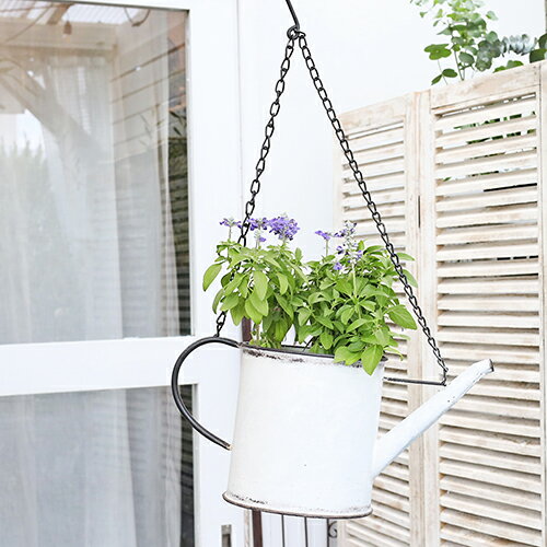 【閉店セール／返品不可／在庫限り】ガーデニング雑貨 アイアンハンギング プラーントジョーロ ハング ブラック／ホワイト