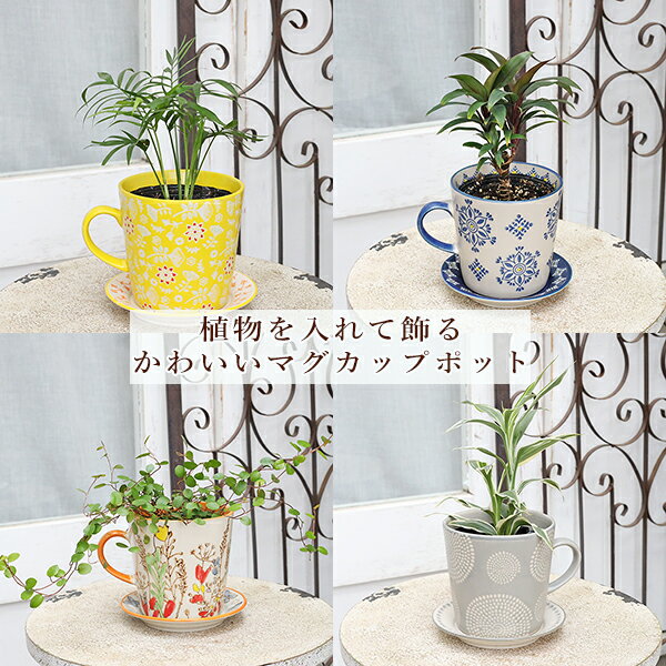 テーブルマグカップ フラワーポット イエロー オレンジ ブルー グレー 植木鉢