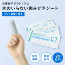 水のいらない歯みがきシート 20枚入り 1000円ポッキリ 送料無料 災害グッズ 防災グッズ FDA認可取得済 歯磨きシート ペーパー歯磨き ドライタイプ 水 無水 うがい不要 防災 震災 備蓄 指にはめるだけ エチケット 長期保存可 ミントの香り アウトドア