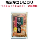 新潟米 グルメ 米10kg 魚沼産 令和5年産 魚沼産コシヒカリ 10kg (5kg×2）お米 10kg 送料無料 お供え 美味いもの 魚沼産 コ シヒカリ10kg 魚沼コシヒカリ ブランド米 魚沼こしひかり 米 美味しい 魚沼米 あす楽 帰省暮 ふるさとチョイス 銘柄米 十日町産