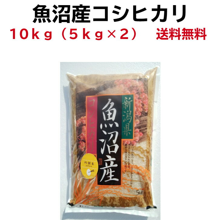 魚沼産コシヒカリ 新潟米 グルメ 米10kg 魚沼産 令和5年産 魚沼産コシヒカリ 10kg (5kg×2）お米 10kg 送料無料 お供え 美味いもの 魚沼産 コ シヒカリ10kg 魚沼コシヒカリ ブランド米 魚沼こしひかり 米 美味しい 魚沼米 あす楽 帰省暮 銘柄米 十日町産