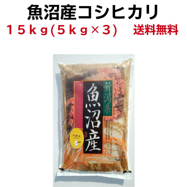 魚沼産コシヒカリ 令和5年産 魚沼産コシヒカリ 15kg (5kg×3） ギフト 米 仕送り 新潟米 15kg 送料無料 銘柄米 魚沼産コシヒカリ 米 15kg 魚沼産こしひかり 美味いもの こしひかり 魚沼 コシヒカリ お供え物 新潟米 美味しい 米です！ 魚沼産 あす楽 魚沼米 手土産 kome