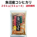 魚沼産 令和5年産 魚沼産コシヒカリ 20kg （5kg×4） 新潟米 20kg ギフト 送料無料 魚沼産コシヒカリ ポイント消化 米 魚沼産コシヒカリ 20kg 魚沼コシヒカリ お供え 美味いもの 魚沼産こしひかり 銘柄米 魚沼コシヒカリ 美味しい 米 仕送り あす楽 魚沼米 1