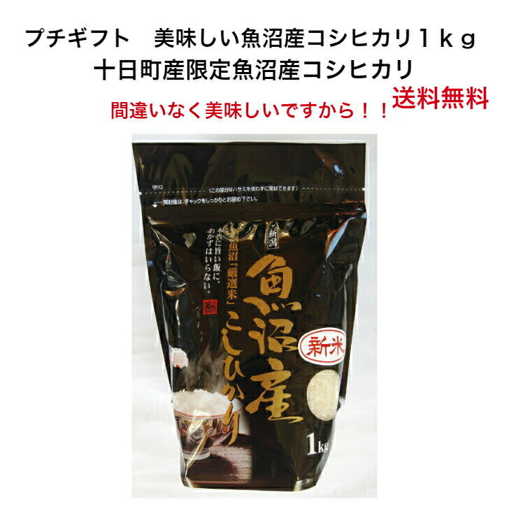 魚沼産コシヒカリ お米 令和5年産 魚沼産コシヒカリ 1kg 新潟米 1kg 魚沼産コシヒカリ お試しパック お供え 美味いもの 食べきり お試し 魚沼米 プチギフト 送料無料 ギフト小分け 魚沼 コシヒカリ 1kg 銘柄米 魚沼産こしひかり 美味しい 米 こしひかり 小袋 米 小分け 内祝い お礼