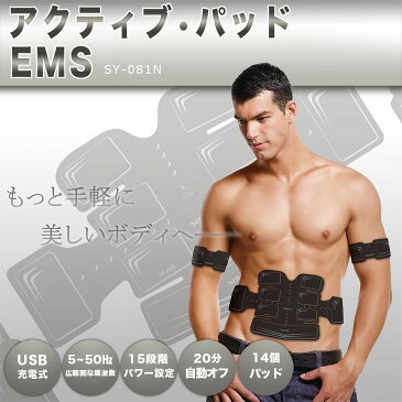 EMS 腹筋ベルト (アクティブ14パット) Body Fit 2 (ボディフィット2)【メーカー純正品 [1年保証]