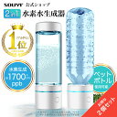 水素生成器 SY-065N 2個セット 水素水生成器 ペットボトル水素生成 水素水ボトル 家庭用 | 高濃度 高濃度水素水 水素 水素水 水素水ボトル ウォーター 水 ミネラルウォーター 水素 充電式 充電 USB ポータブルサーバー お水 水素水サーバー